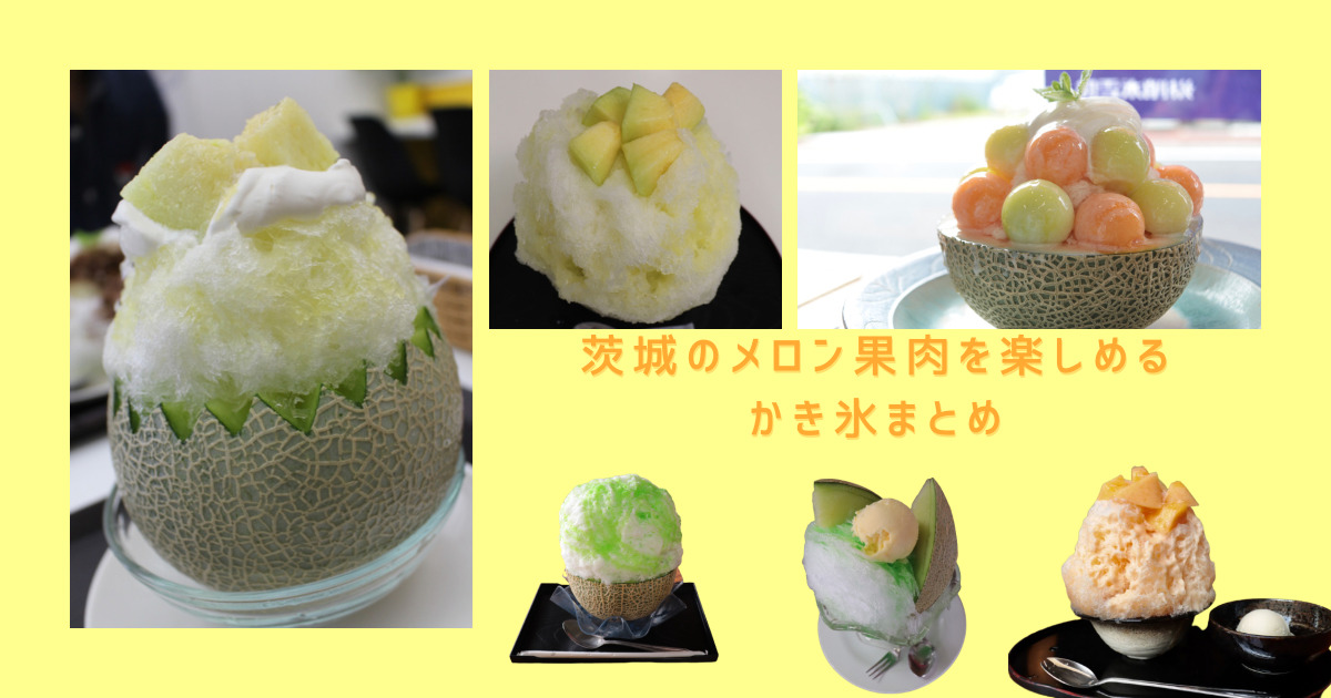 決定版 茨城のメロン果肉を楽しめる かき氷まとめ Chikudays
