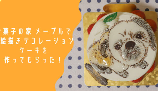 守谷のお菓子屋さん【メープル】で世界に一つだけの【お絵かきデコレーションケーキ】を作ってもらいました！