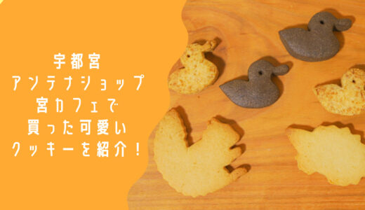 栃木 宇都宮のアンテナショップ【宮カフェ】で買った可愛いクッキーを紹介します！